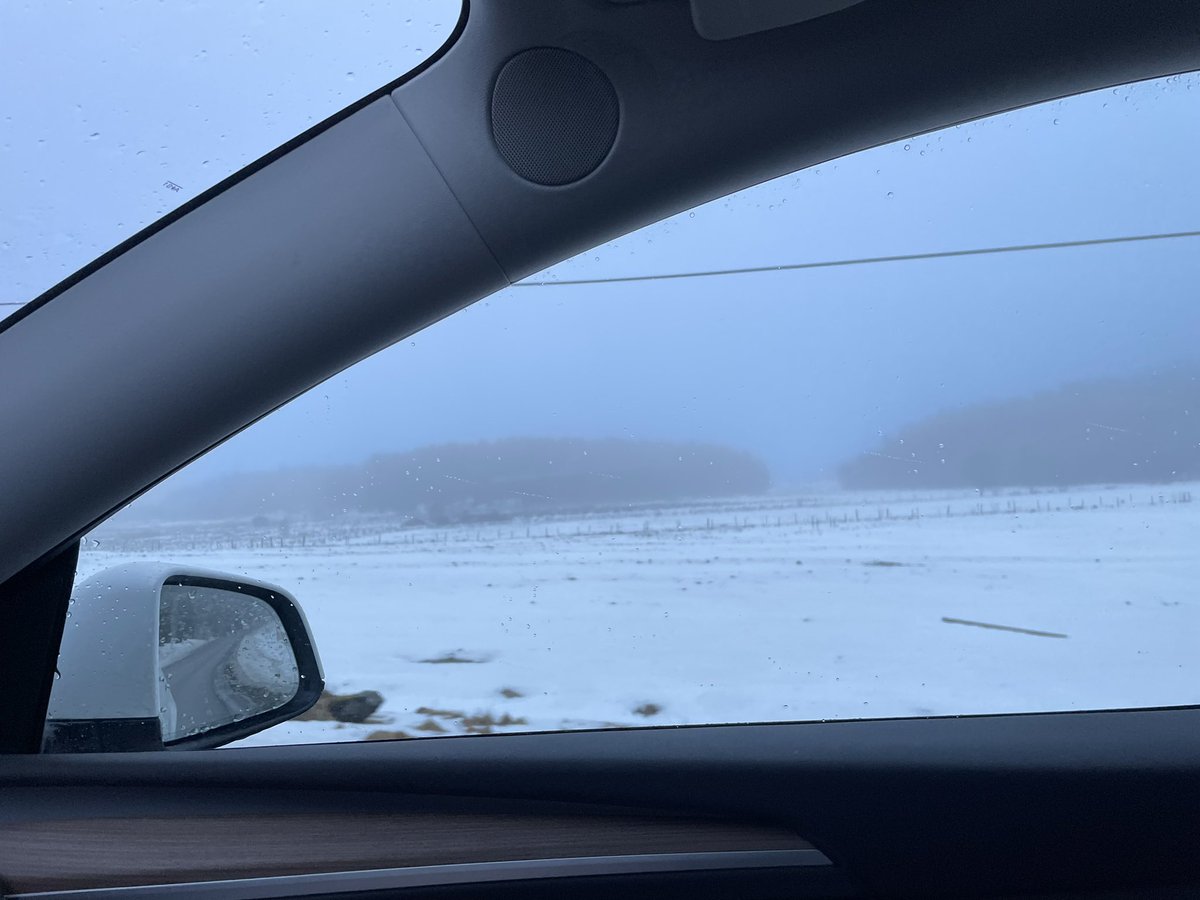 Not a sunny day today, but how else to appreciate the differences? 🥰 #MomentsOfBeauty -#NatureBeauty 
#drivingTesla