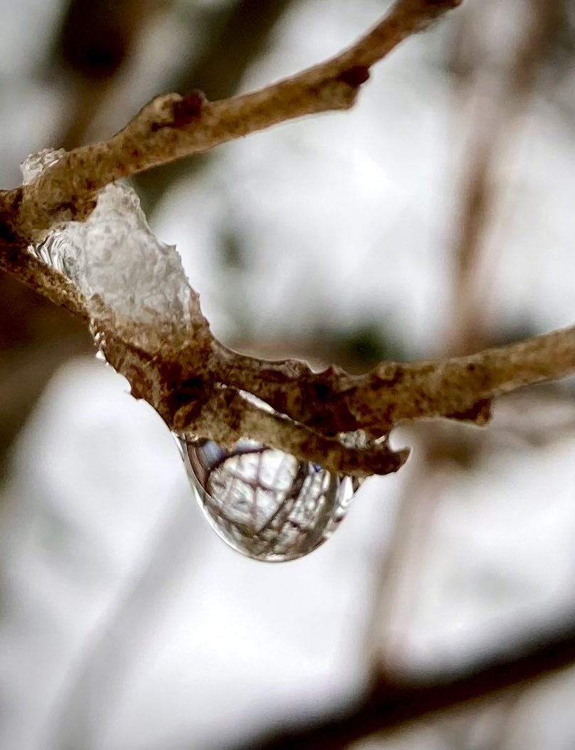 Allone34789's tweet photo. #Nature
#NaturePhotography
#Naturephotography
#photography #Photography
#nature #naturelovers
#winter #icedrop #January
#outside #Wednesday
#twig
#raindrop https://t.co/gkt8Otggj2