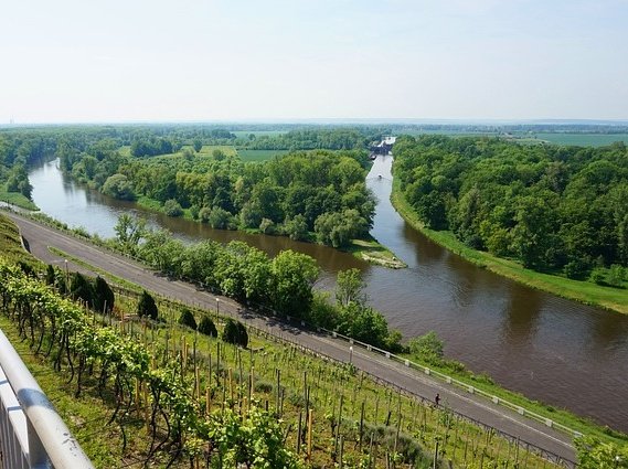Confluir: hace referencia a la union de dos o mas caminos para formar uno. Pueden ser rios, vasos sanguineos, calles, etc.
 Acá el ejemplo de dos ríos confluir