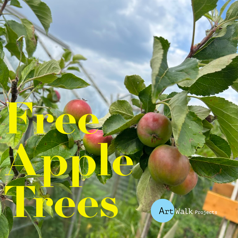 We have a few apple trees remaining... Get in touch if you'd like to plant a tree, and live in Craigentinny, Restalrig or Lochend. Community groups very welcome too. To be planted in front garden, or publicly viewable space. #NeighbouringOrchard

applestrees@artwalkporty.co.uk