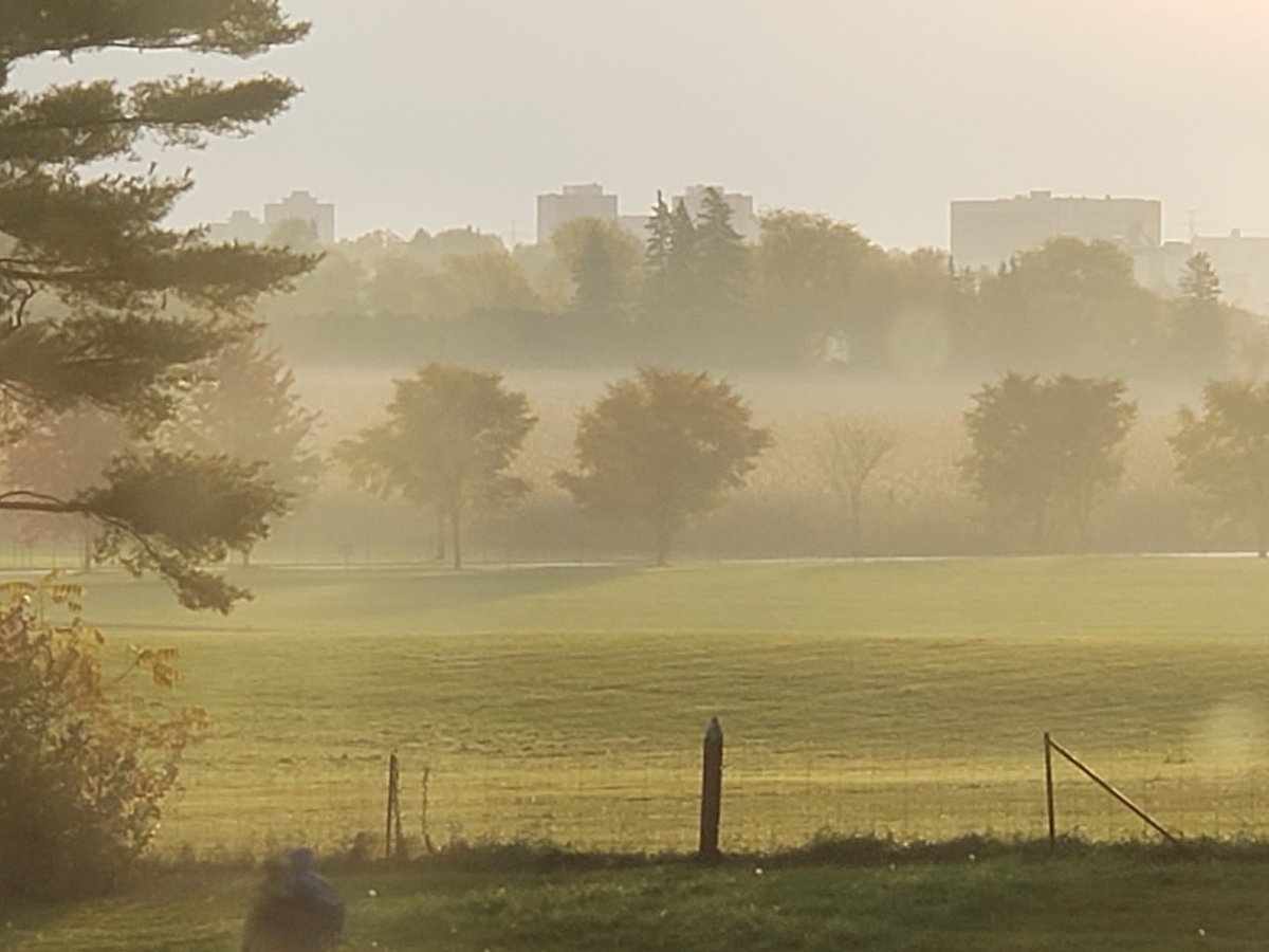How can you not be inspired by a view like this? We're very grateful that our office looks out over the Experimental Farm — we think it's the best view in the city. Do you agree? We'd love to know what you think. 🌇
#ottawa #creative #agency #agencylife