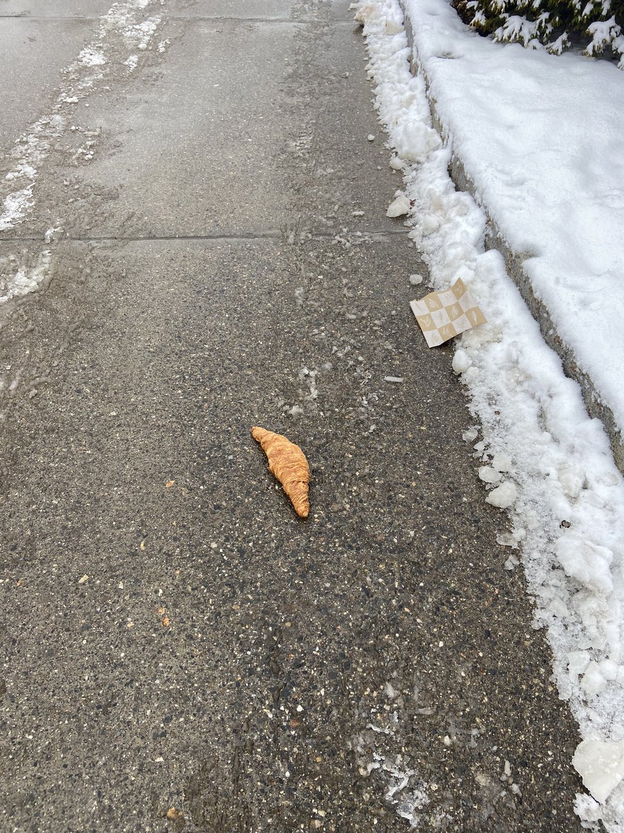Witnessed this fallen soldier near red square