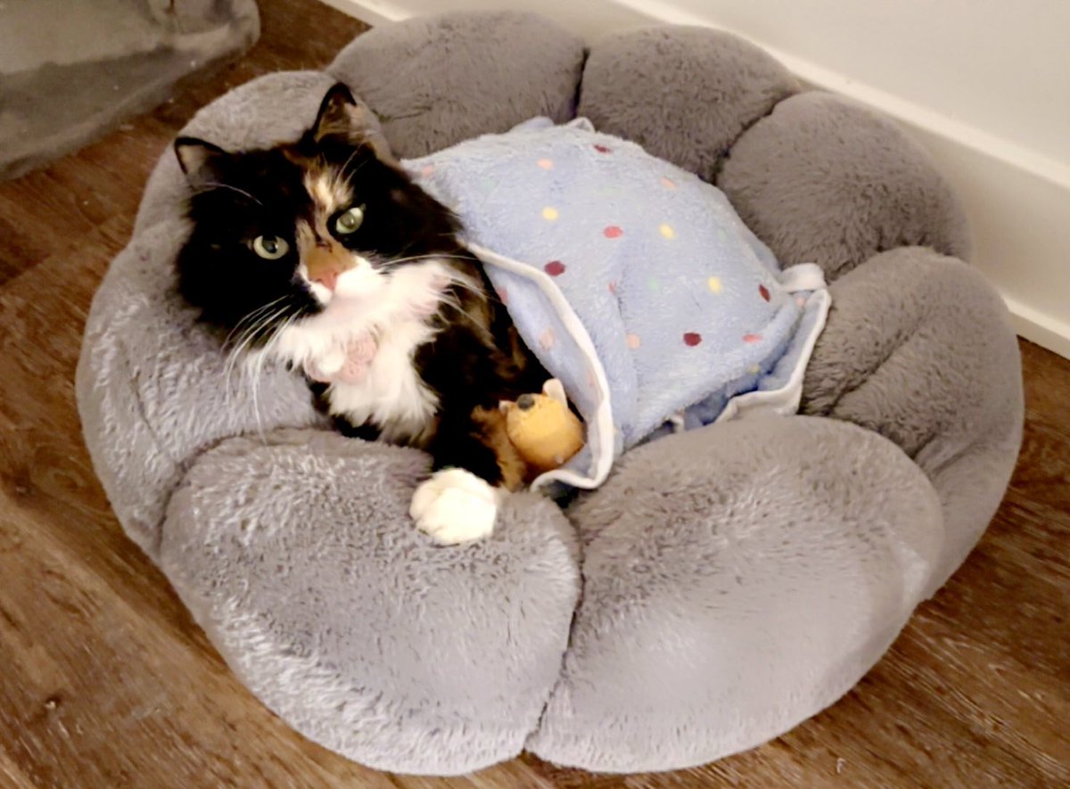 ⛅️ Good mornie 💤