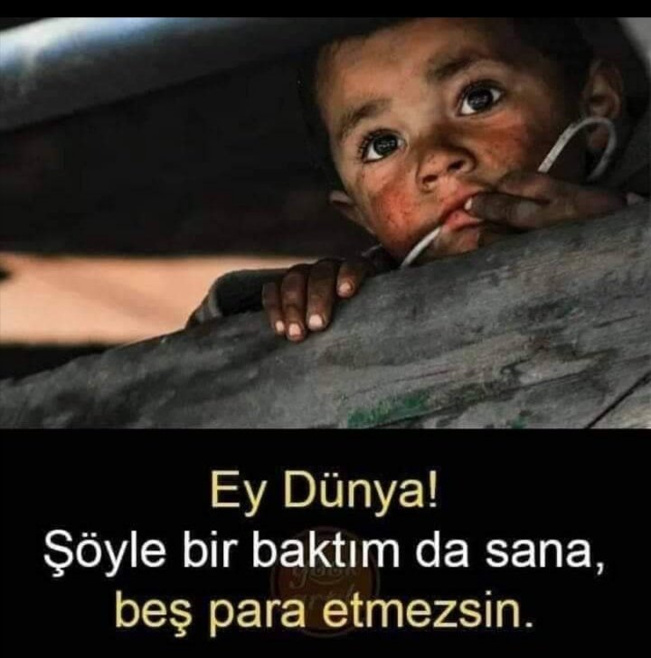 EmrahP49961's tweet photo. #GazaStarving https://t.co/8nc2pA4FUG