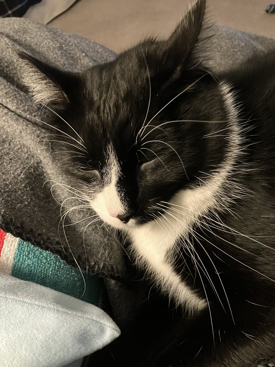 Claire Long tweet media