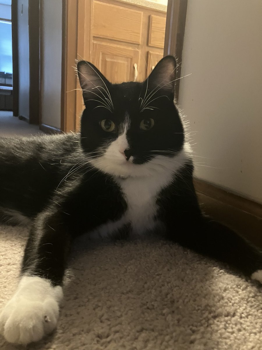 Claire Long tweet media