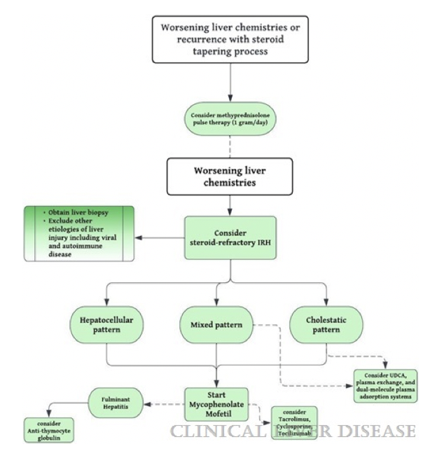 ClinicalLiverDisease (@cld_learning) on Twitter photo **Immune Checkpoint Inhibitor Hepatitis**
1. Steroids the cornerstone, but not always effective - other options include tocilizumab
2. Liver biopsy may be useful
3. Multi-societal guidelines discussed in detail
<a href="/gres_karim/">Gres Karim, MD</a> <a href="/AmreenDinani/">Amreen Dinani</a>
journals.lww.com/cld/fulltext/2… **Immune Checkpoint Inhibitor Hepatitis**
1. Steroids the cornerstone, but not always effective - other options include tocilizumab
2. Liver biopsy may be useful
3. Multi-societal guidelines discussed in detail
<a href="/gres_karim/">Gres Karim, MD</a> <a href="/AmreenDinani/">Amreen Dinani</a>
journals.lww.com/cld/fulltext/2…