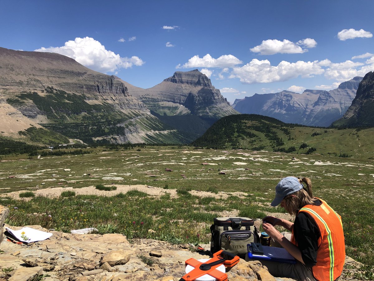USGS_MT's tweet photo. New research from @USGS @xercessociety & @BLM_MTDKs tests usings photos as a non-lethal way to ID bumble bees. Non-lethal ID methods may be particularly useful for imperiled bee species π https://t.co/3QpNKnLcdd
@GlacierNPS #NativePollinators #WesternBumbleBee #USGS_NOROCK https://t.co/ooiOX2CNle