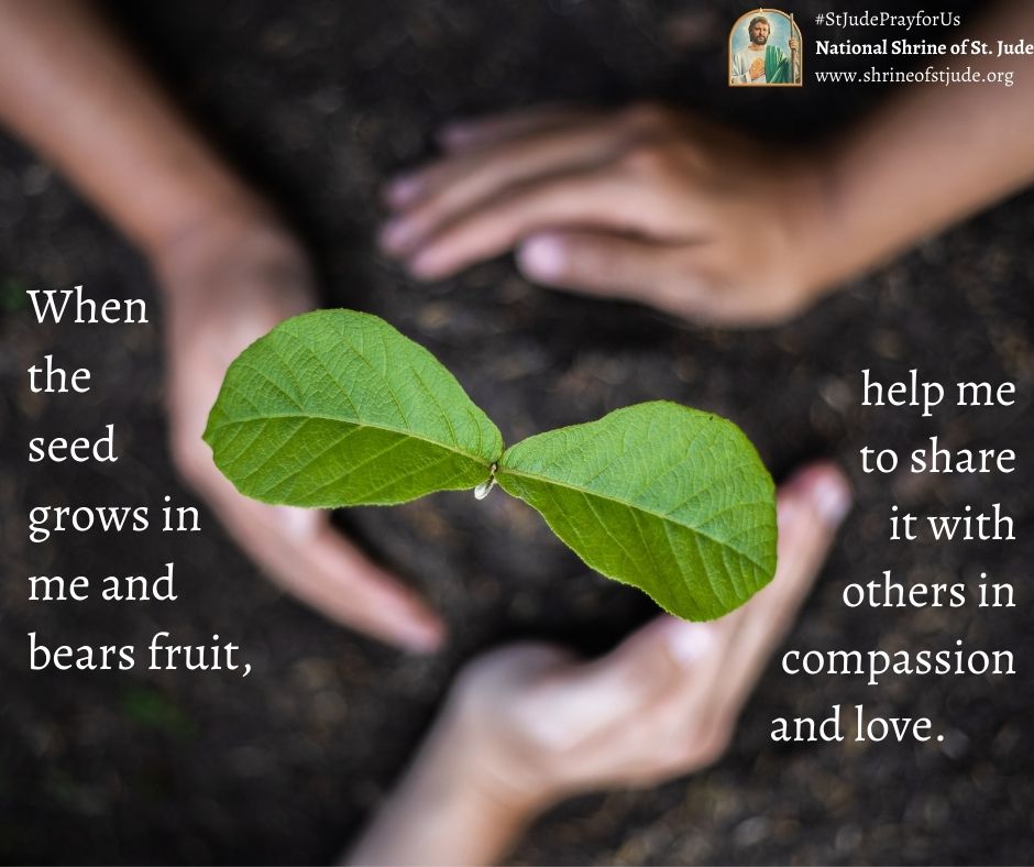 ShrineofStJude's tweet photo. "When the seed grows in me and bears fruit, help me to share it with others in compassion and love. Amen."
Read the entire entry from today's bible diary here: https://t.co/n49n3xmcPi
-
#reflect #biblediary #wednesdaywisdom #wisdom #readings #gospel #gospels #read #study https://t.co/wd5bUKFmxW