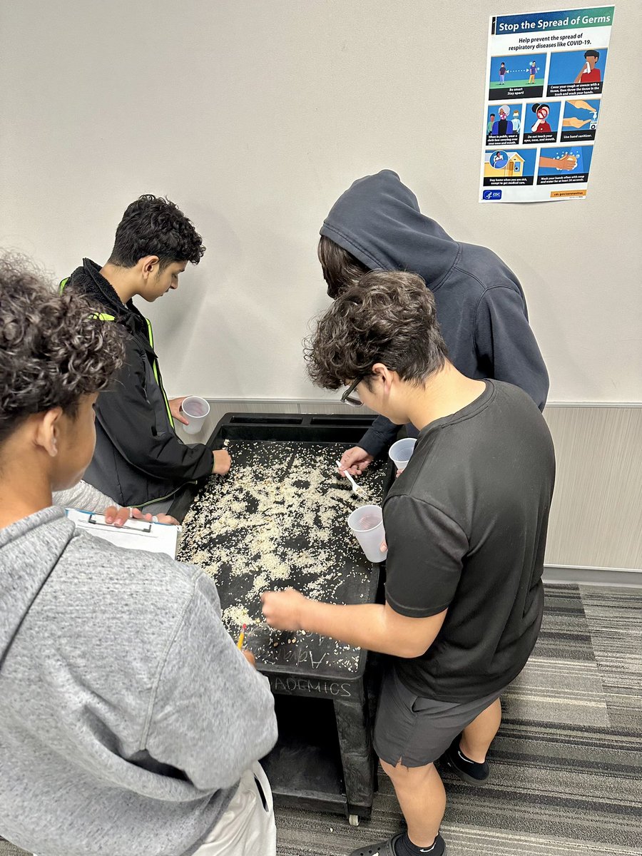 AtomicFreelon's tweet photo. 🔬Taking biology to the hallway with a hands-on lesson in natural selection! My students are equipped with various tools to 'survive' by collecting beans. It's survival of the fittest in action! Who will adapt? #NaturalSelection #BiologyClass #ActiveLearning  @ShadowCreekHS 🧬🌿 https://t.co/ntfXpuh1Ew