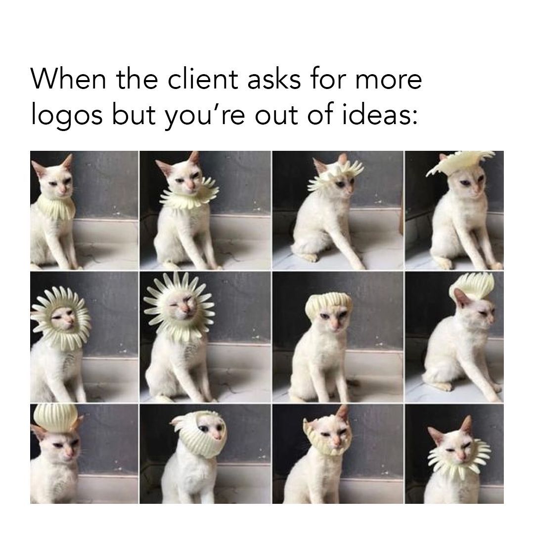 assembly_pixite's tweet image. The same but different, right?🐱 #AssemblyApp