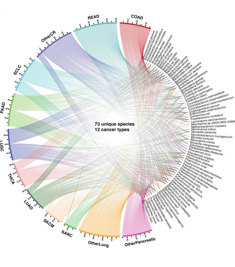 New research from the #exORIENConsortium: A bioinformatics tool for identifying intratumoral microbes from the ORIEN dataset @dspakowicz @CarlosHFChan @NeliMUlrich @SheetalHardikar @ATarhiniMDPhD @eric_facs @gtinocomd @MariumHusain @AfafOsman7 @QinMaBMBL doi.org/10.1158/2767-9…