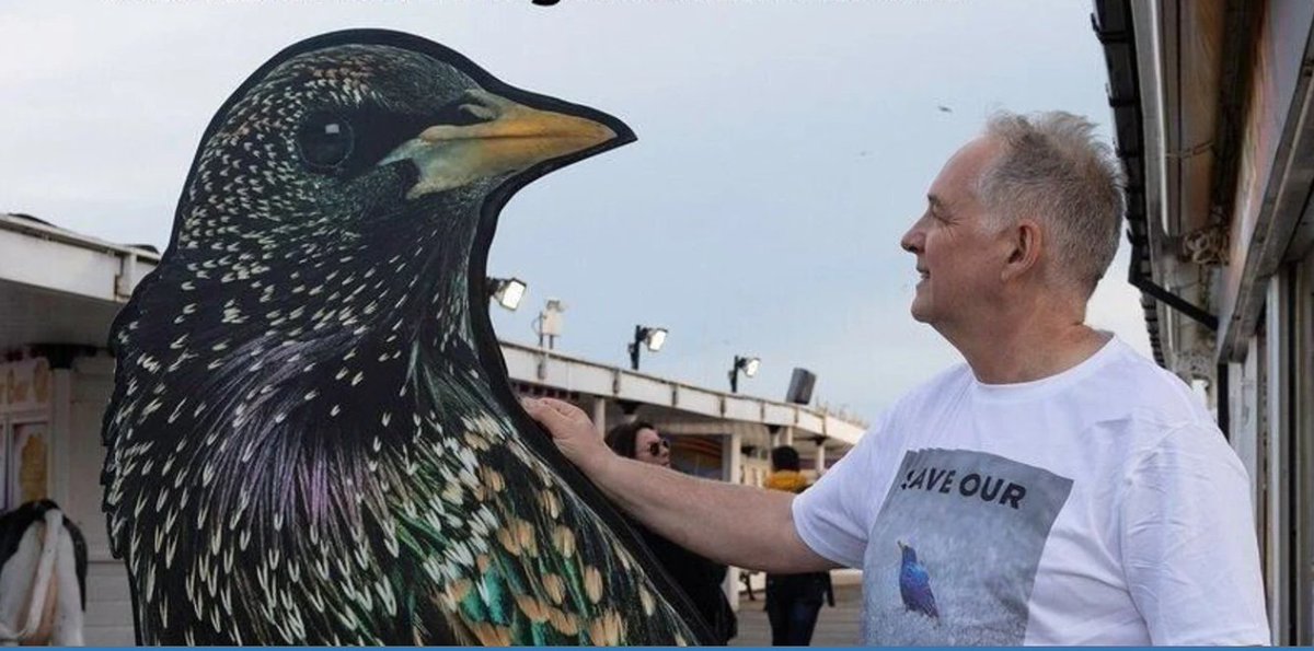 The protest was led by @SteveGeliot, who co-founded #SaveOurStarlings. Steve said: 'If they break this promise, people won't trust them. We need to have councillors that we can trust... We don't need another war. We've had wars on drugs, terrorism, we don't need a war on nature.'