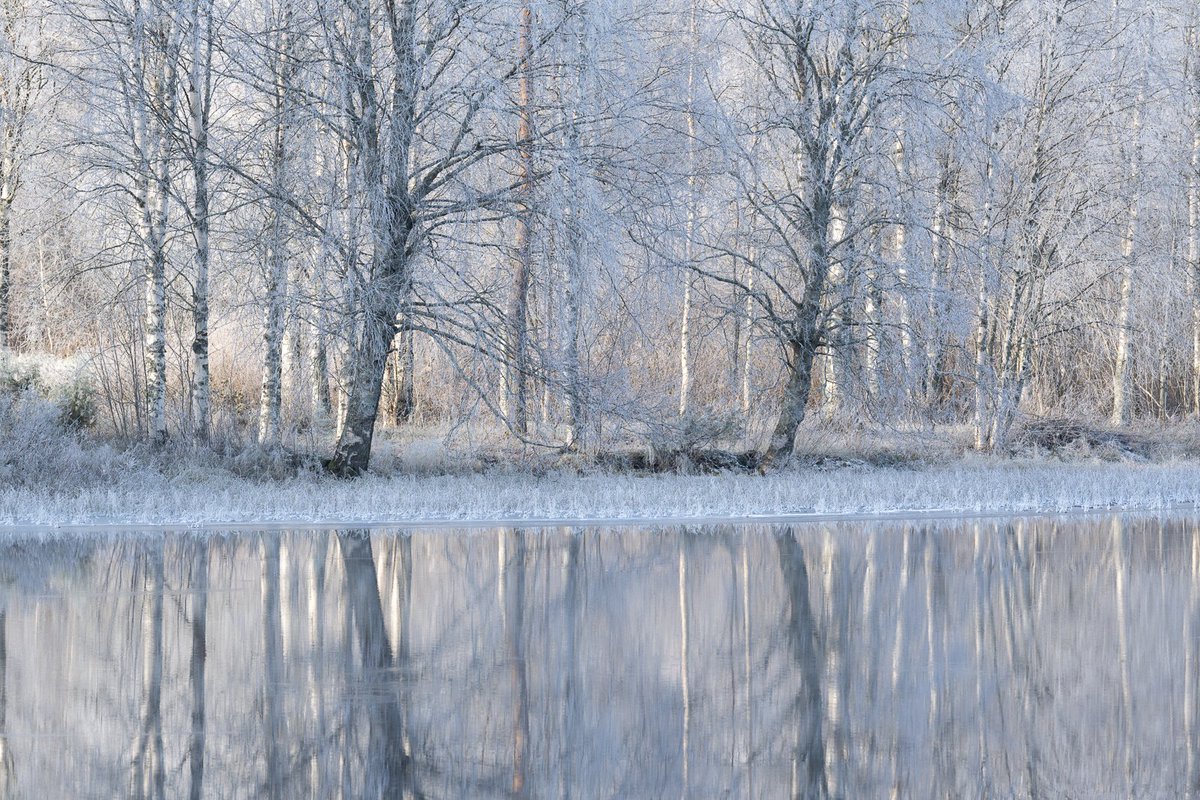 MikkoLagerstedt's tweet photo. Winter light https://t.co/prk1n8bsC1