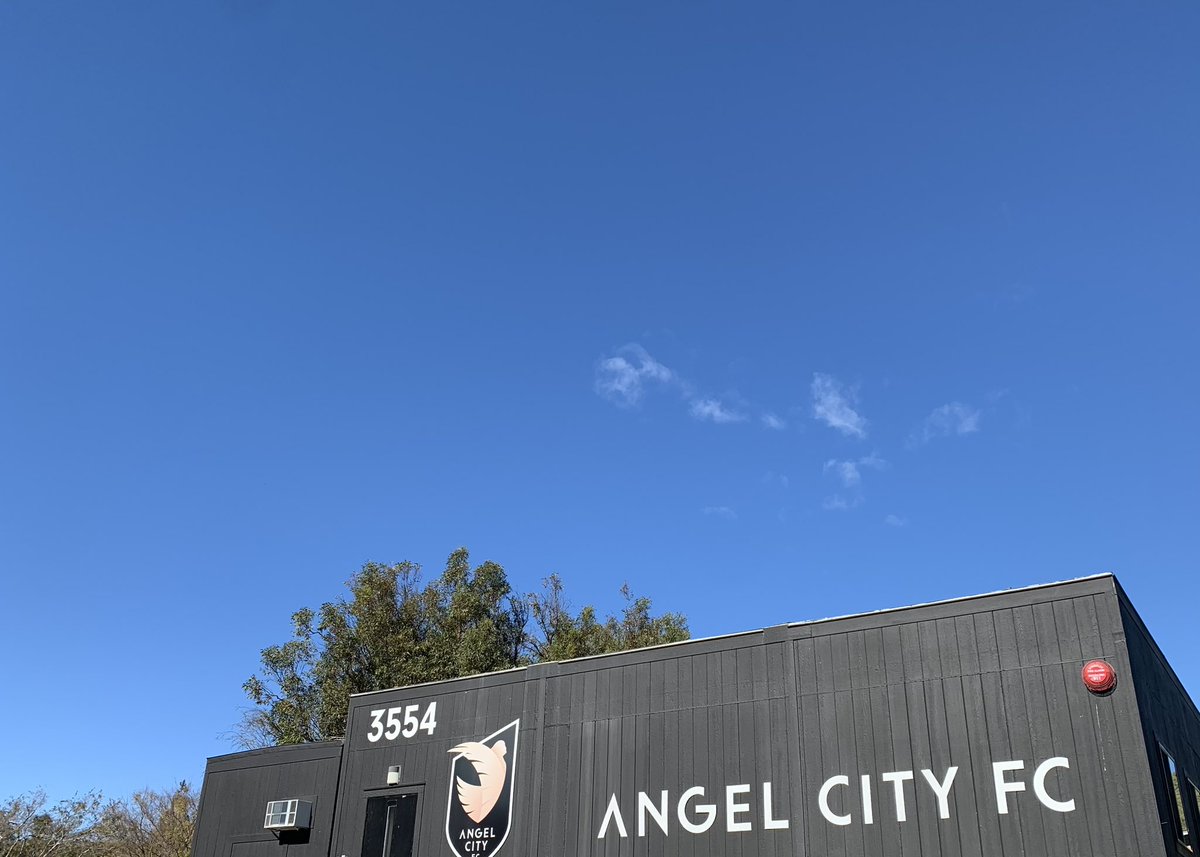 Kirsty Sale tweet media