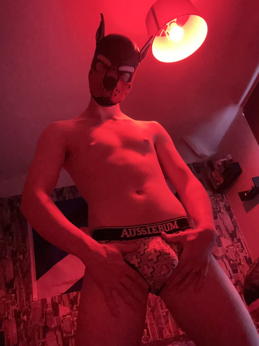 What do we think new underwear on or off 👀❤️ 

#pupplay #gaykink #humanpup #gaypup