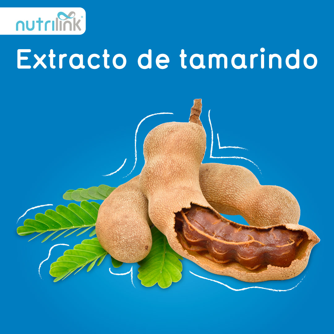 Extracto de avena en polvo - Nutrilink