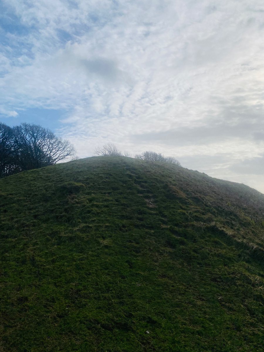 Early afternoon at Badbury Rings, an Iron Age hill fort and Scheduled Monument in east #Dorset England. It was in the territory of the Durotriges. 1/
