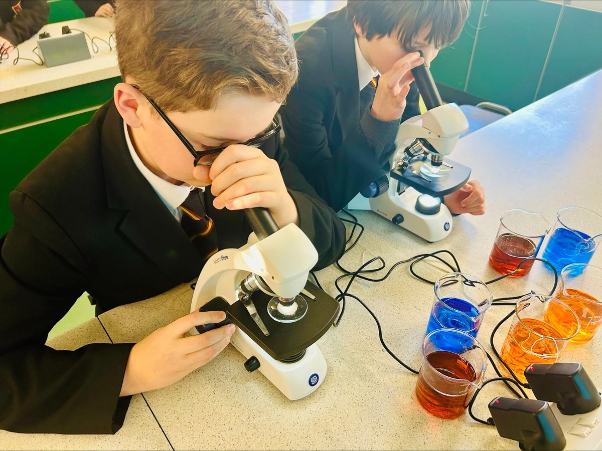 Our young scientists continue to enjoy the weekly science club sessions, topics include:
surviving an asteroid impact /bodies via a lung dissection & also crystal formation.
#grammarschool #science #ScienceClub #sciencefacts #scientist #scientific #STEMforkids #STEMeducation