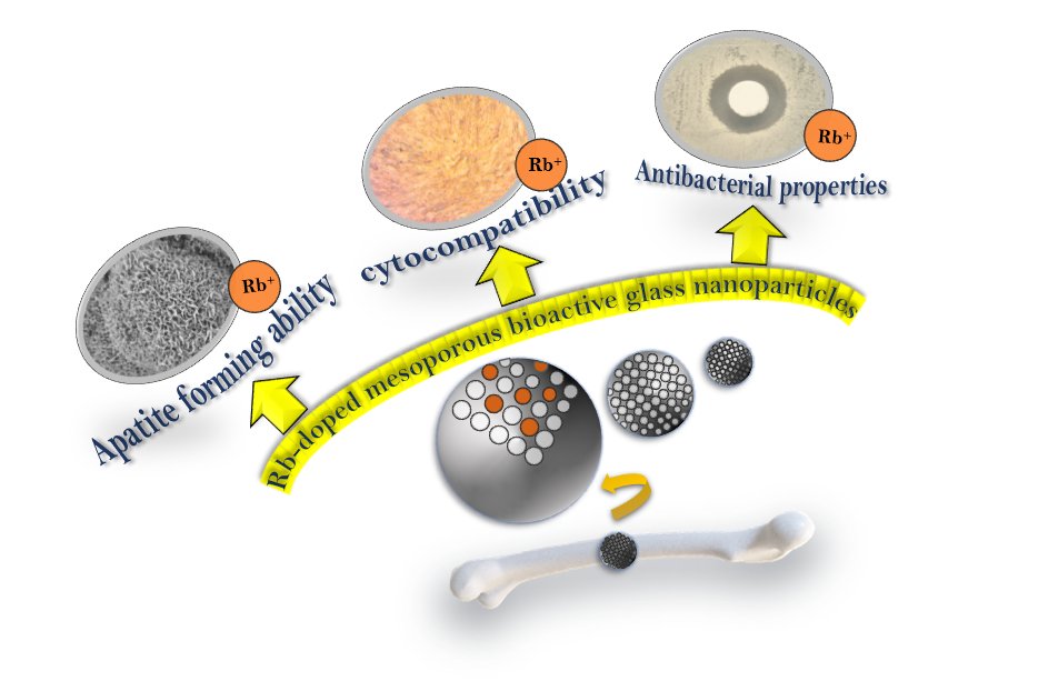Sharing our new #OpenAccess paper in J. Porous Mater. on Rb doped mesoporous bioactive glass nanoparticles with #antibacterial properties, led by @UPantulap collaborating with @irem_unalan @zhengkaishot @Boccaccini_Lab @UniFAU with @DAAD_Germany funding➡️rdcu.be/dvV7L