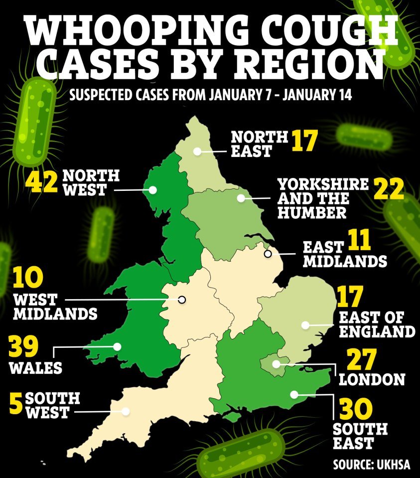 TheSunGraphics's tweet image. COUGH UP ‘Stay off work and school’, sufferers of ‘100-day cough’ told – as cases hit 10-year high thesun.co.uk/health/2547081…