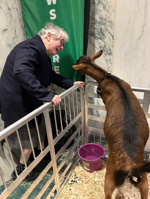 On Monday, I visited the @ccecornell in Albany as they shared how CCE's work strengthens communities across New York State. I had the pleasure of meeting with their head lobbyist, Maple, a baby goat.