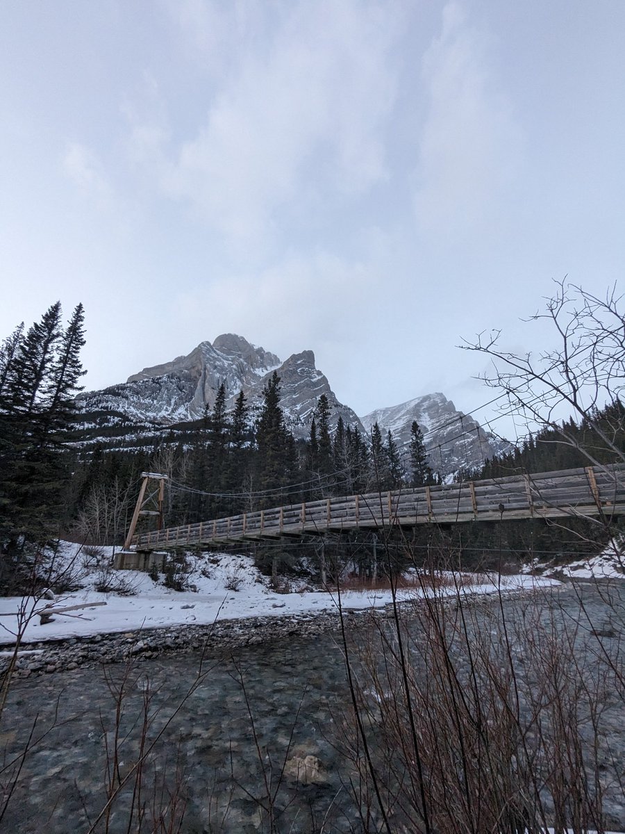 vik ⛰️ / 💻 tweet media