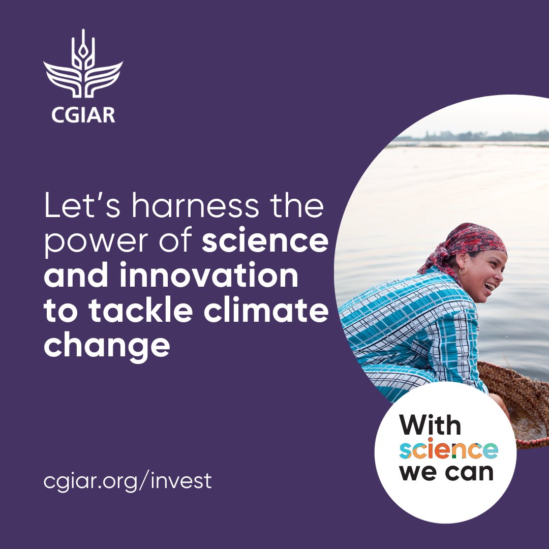 🚨 With 4°C of warming, 2.1 billion could face hunger. That's why @CGIAR has launched a $4 billion campaign to assist 500 million people to sustainably produce food in the face of #climatechange. 🌱🌍Learn more: cgiar.org/invest #WithScienceWeCan #OneCGIAR