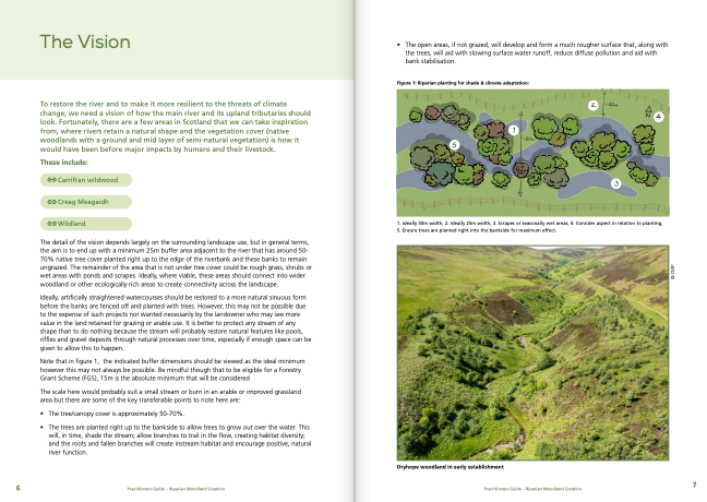 Spey Catchment Initiative (@speycatchment) on Twitter photo Check out this fantastic free guide about riparian woodland creation from the <a href="/tweed_forum/">Tweed Forum</a> .๐
It offers step-by-step information about how to develop and deliver successful and impactful riparian woodland projects.๐ฑ
Get the full guide here: tweedforum.org/wp-content/uplโฆ Check out this fantastic free guide about riparian woodland creation from the <a href="/tweed_forum/">Tweed Forum</a> .๐
It offers step-by-step information about how to develop and deliver successful and impactful riparian woodland projects.๐ฑ
Get the full guide here: tweedforum.org/wp-content/uplโฆ