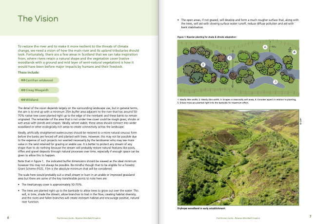 Check out this fantastic free guide about riparian woodland creation from the @tweed_forum .😁 It offers step-by-step information about how to develop and deliver successful and impactful riparian woodland projects.🌱 Get the full guide here: tweedforum.org/wp-content/upl…