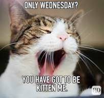 Key Largo Chamber of Commerce & Visitor Center tweet media