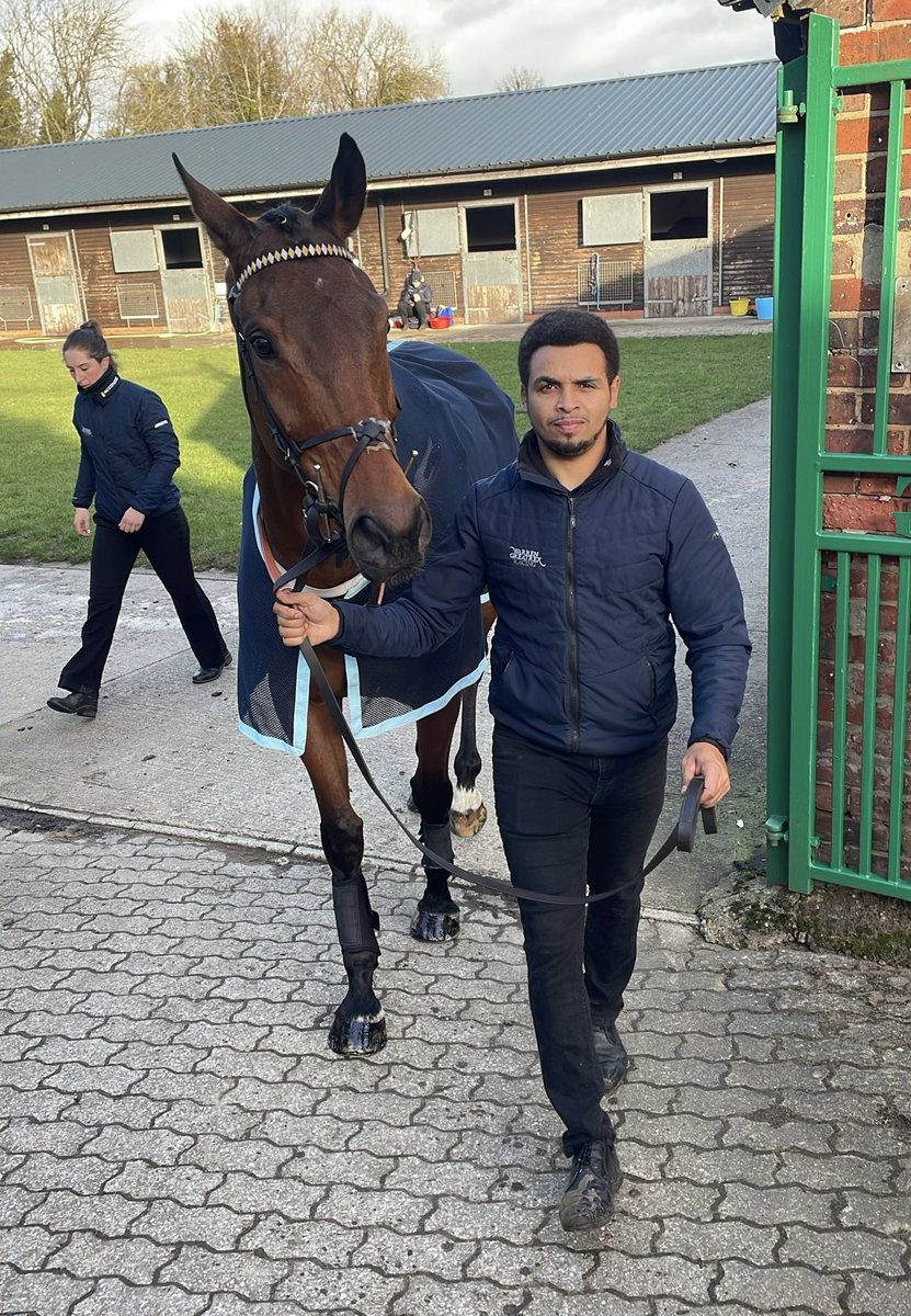 HERAKLES WESTWOOD makes it 3 back-to-back wins! This time winning the Vickers.bet Handicap Hurdle 2m 3f @CatterickRaces under a confident ride from @james_bowen_. Congratulations to his owners @albatrossclub_ . Proudly sponsored by @1accountID