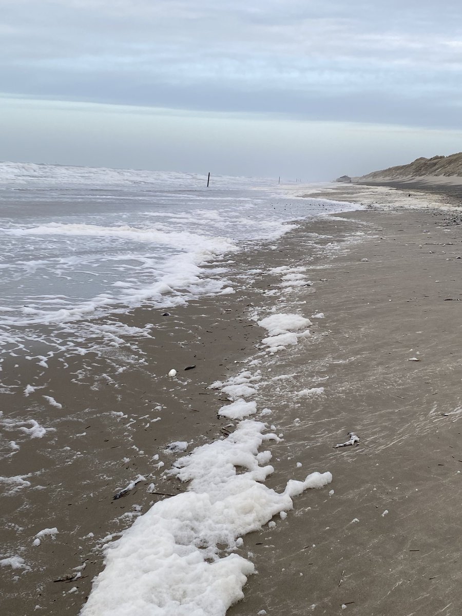 Er is hier niemand. #Texel #strand #wadden