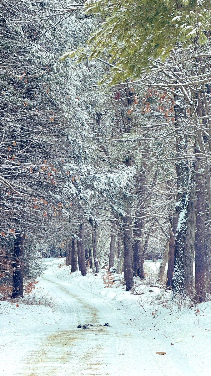sahraakarimi's tweet photo. #Winter
#زمستان
#MacDowell https://t.co/zeqrgwYIjM