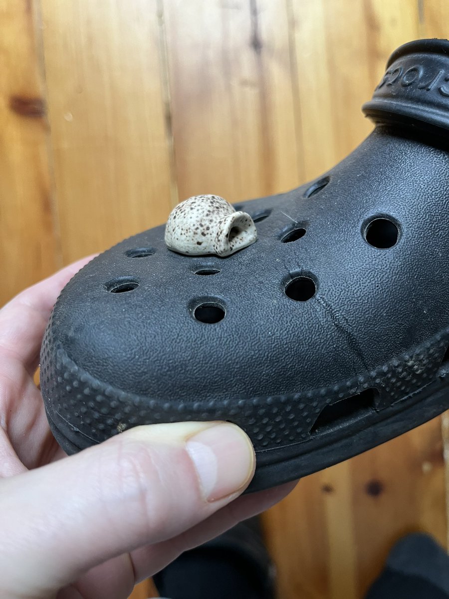 my pal <a href="/amandabuzard/">Amanda Buzard</a> made these croc-pots and now I’m part of a dangerously exclusive club