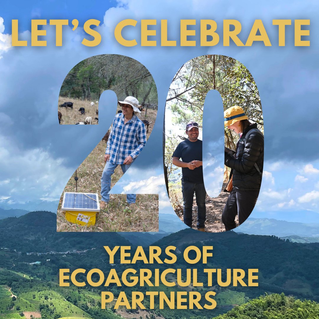We are celebrating 20 years of transformative change 🎉

Your support has been instrumental in our journey. As we look ahead to the next 20 years, we're excited to focus on creating solutions that empower people and communities around the world. 

#EcoAg20 #20YearsOfImpact