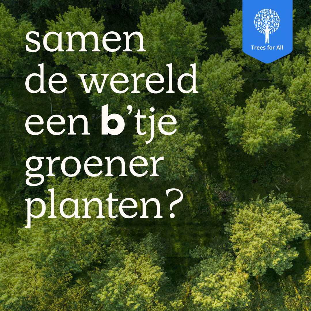 In 2023 heeft @TreesForAll ruim 2 miljoen bomen geplant. Hierdoor staat de teller nu op 10,5 miljoen! Geweldig toch? 🤩

Wist je dat we voor elke verzekering samen een boom planten? 🌳

Bekijk hoe wij het elke dag een b'tje beter willen doen: ow.ly/t38S50QtVCI