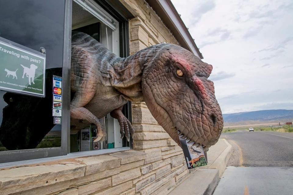 Pets are welcome to visit parks as long as you follow a few rules and regulations. Always check park websites or ask the attendant upon arrival about traveling with pets.
