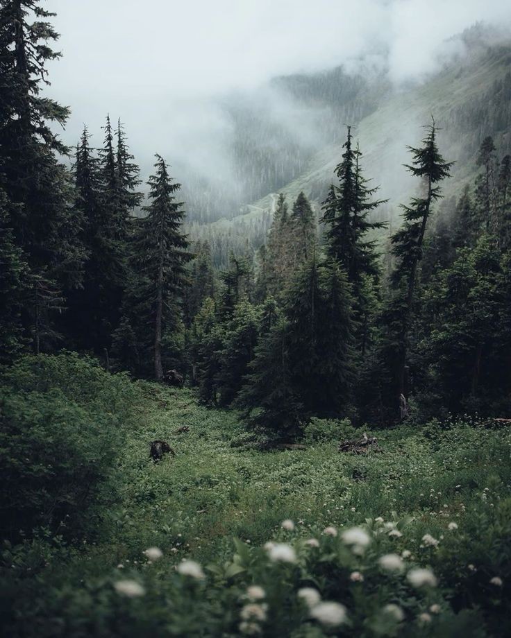elemmiressoul's tweet photo. fresh air. https://t.co/9UG5Bp7UdE