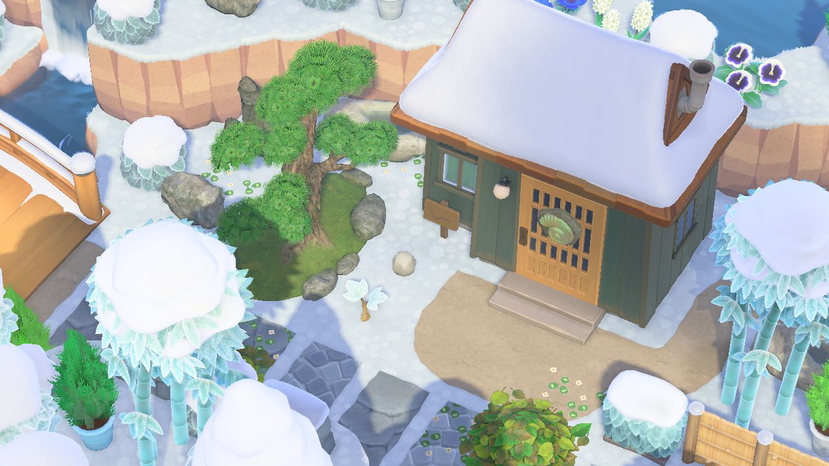 Sol_Crossing's tweet photo. #AnimalCrossing #ACNH #NintendoSwitch https://t.co/jSpigNow56