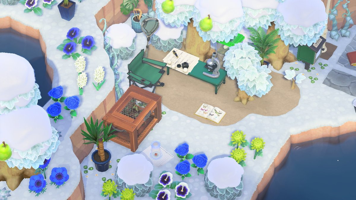 Sol_Crossing's tweet photo. #AnimalCrossing #ACNH #NintendoSwitch https://t.co/jSpigNow56