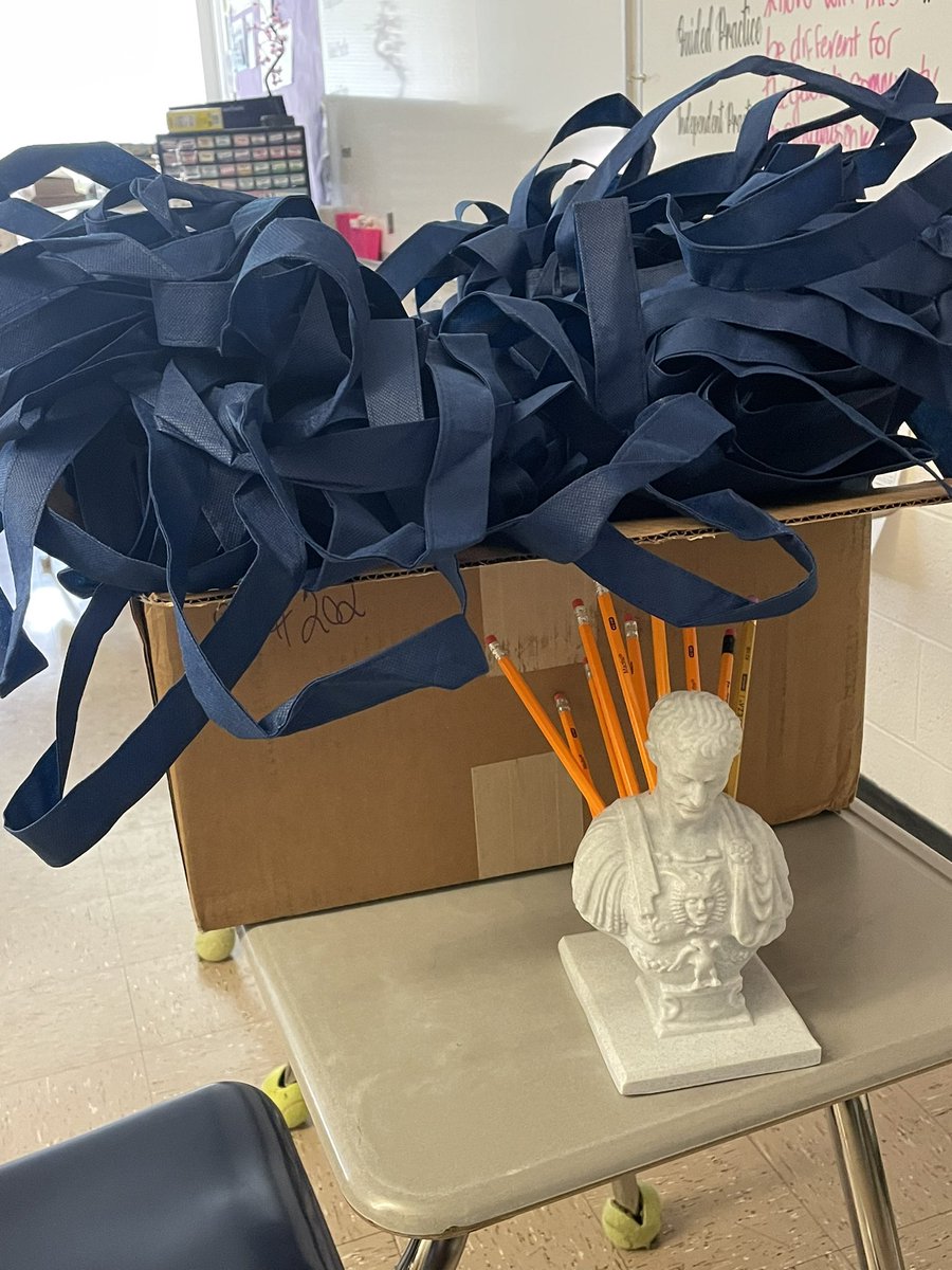 JillianMorsHMS's tweet photo. The goodie bags are packed for @WSFCS_SS professional development tomorrow with @CSPANClassroom! https://t.co/EVdkNNDnMD