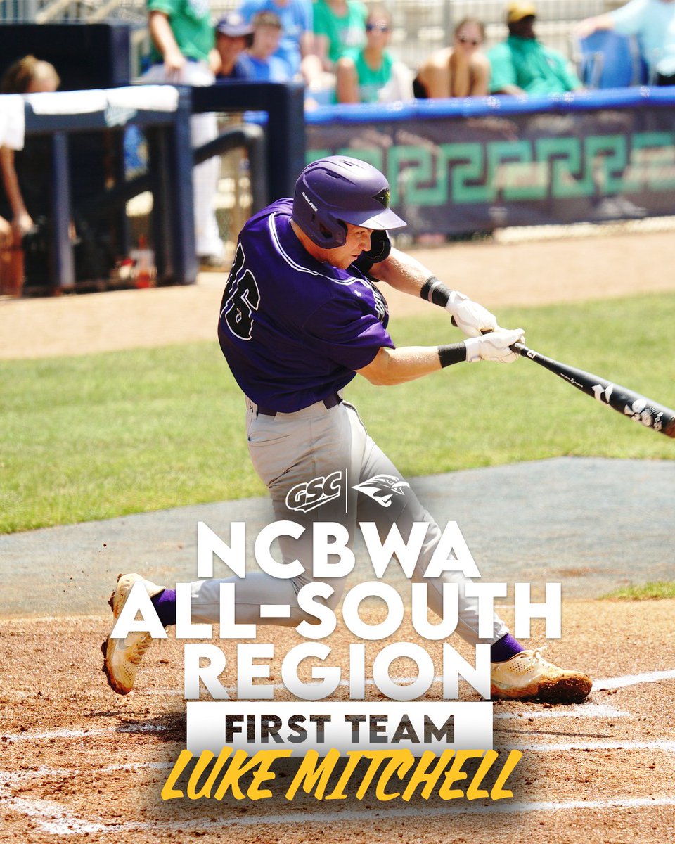 🚨Preseason Awards🚨

The Falcons are ranked 4⃣th in the South Region, Luke Mitchell named to All-South Region Frist Team by the NCBWA👏

#TogetherWeRise