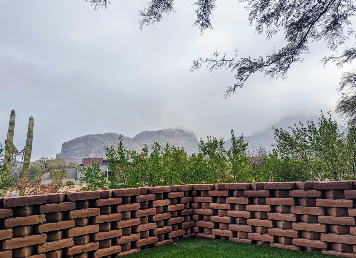 Hillary☮️ 🇺🇦 tweet media