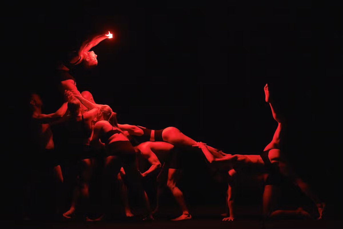 Rob_Boisclair's tweet image. Actualité | Du cirque sexy et des danses de haut niveau au @lediamant_qc bloglesenfantsduparadis.blogspot.com/2024/01/du-cir… #danse #danseqc #theatre #théâtre #Cirque #Quebec