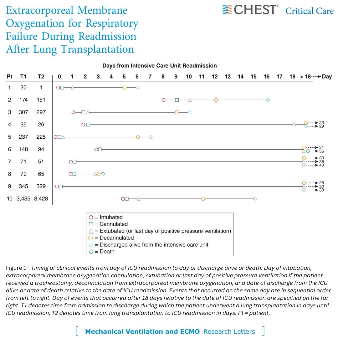 CHEST tweet media