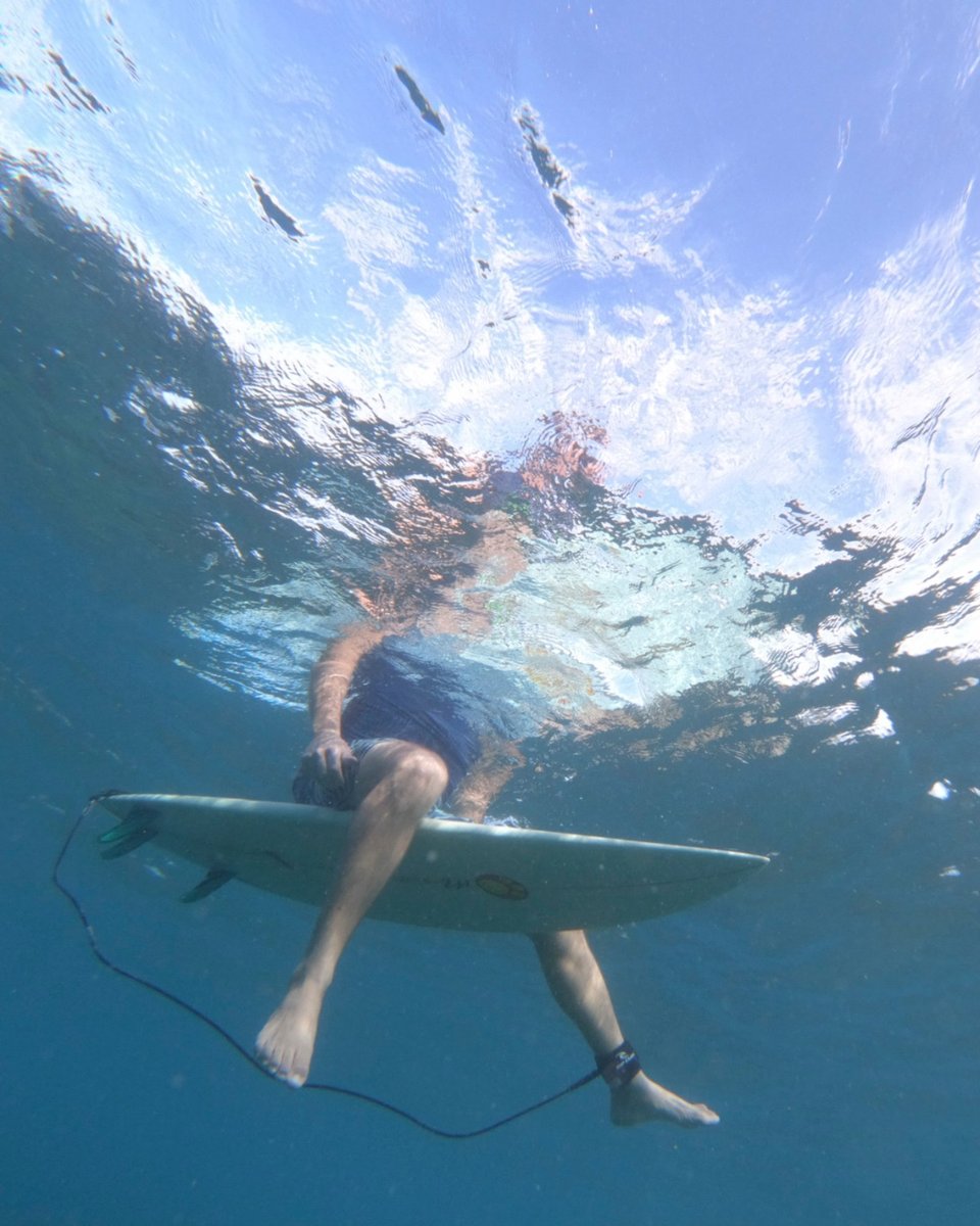 5 spaces left on our 2 week Bali Surf Camp & Surf Adventure. Book now and get the best waves of your life this year!🌴🌊
#paradise #ttrindo #gapyear #surfinggapyear #indo #indonesia #indosurfing #surfphotography #surfingindonesia #balisurftrip #balisurfcamp #balisurfadventure