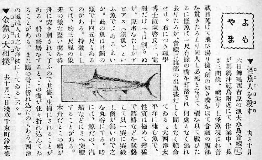 これは殺人怪魚