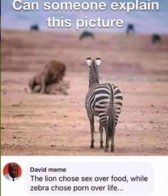 GEnrn-VXEAAntIJ?format=jpg&name=small