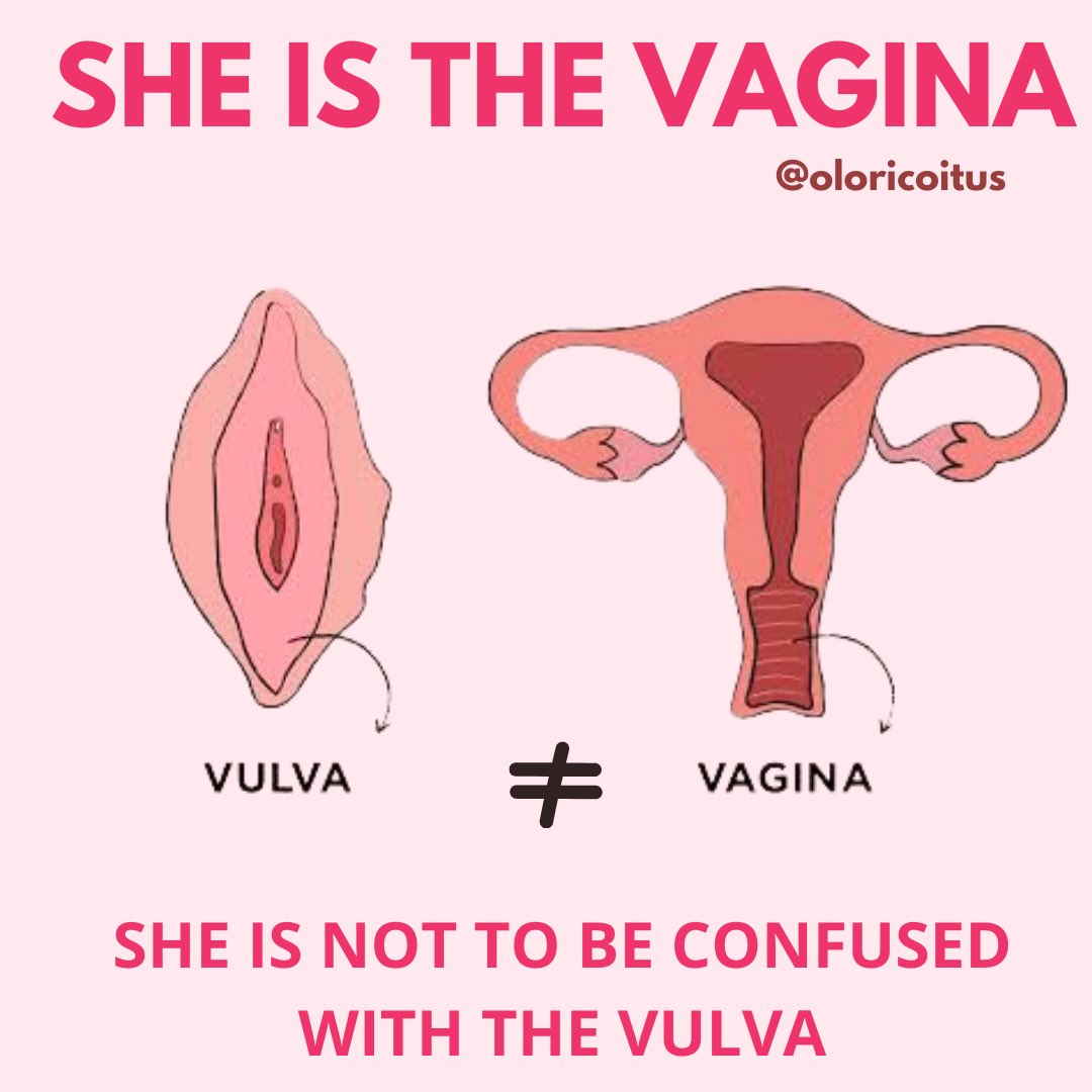 oloricoitus's tweet photo. My good sis, dive into these empowering insights on vaginal well-being. Donโt keep them to yourself info to yourself, remember to like & share!
xoxo,
Olori Coitus
#VaginalHealth #vaginalhealthtips #WellnessWednesday #OloriCoitus https://t.co/KOH7Pj9hbD